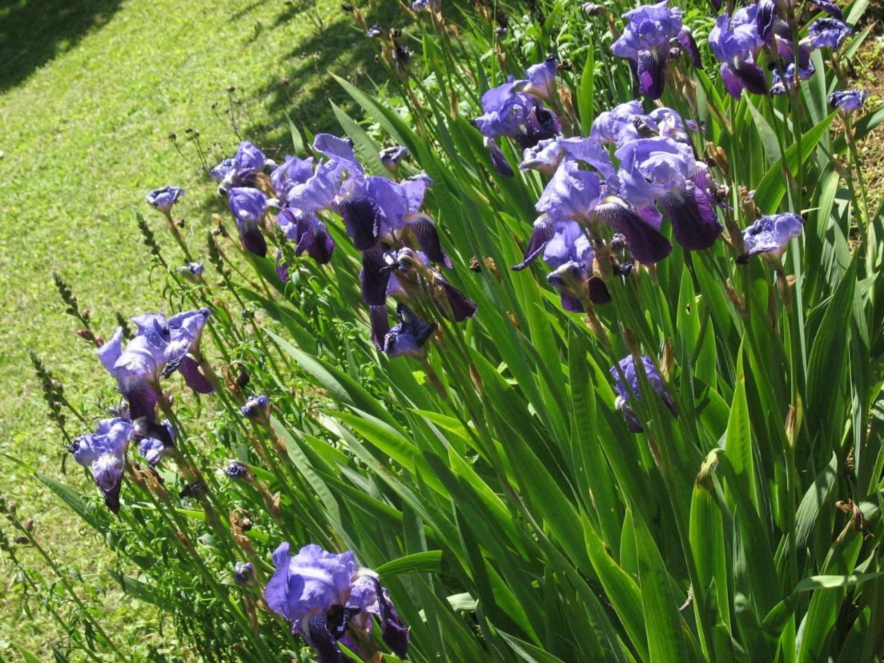 Les Jardins De La Grange Acomodação com café da manhã Rezonville Exterior foto